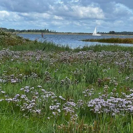 Vakantiehuis Boddentraum Vieregge