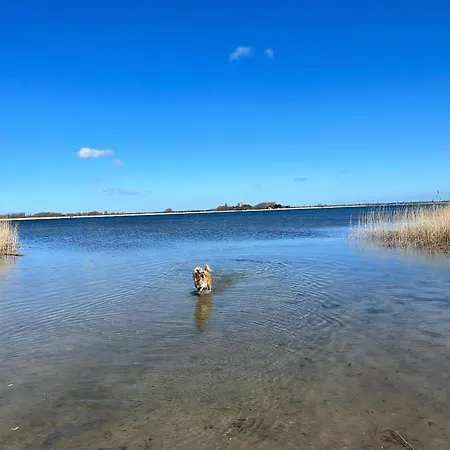 Boddentraum Vieregge